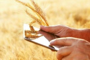 Аграрний реєстр: мобільні групи операторів їдуть до пілотних областей