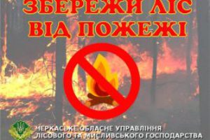 Надзвичайна пожежна небезпека – розводити вогонь у лісі заборонено