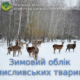 Розпочинається зимовий облік мисливських тварин у лісах Черкащини