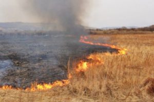 На Черкащині триває пожежонебезпечний період, існує надзвичайно високий ризик виникнення пожеж