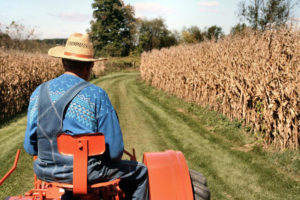 Уряд нарощує програми підтримки українських фермерів, щоб сприяти успішному розвитку ринку землі в країні