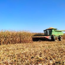 У Черкаському районі агрогосподарствами завершено збирання ранніх зернових та зернобобових культур
