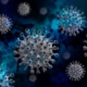 Україна посилює захист від коронавірусу штаму «Омікрон»