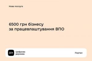 6500 грн для бізнесу за кожну найману ВПО