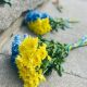 Вічна та світла пам’ять захисникам України…