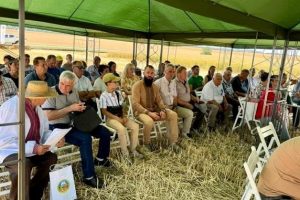 Аграрії Черкаського краю отримали вітальні листи від Міністерства аграрної політики та продовольства України