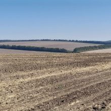 Аграрії Черкаського району активно проводять збір пізніх зернових культур