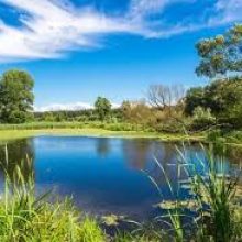 Про незаконне спеціальне водокористування