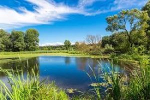 Про незаконне спеціальне водокористування