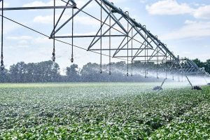 Зрошення – у пріоритеті: на Черкащині розвивають іригацію