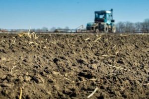 Аграрії України засіяли вже 2 млн га ярих зернових та зернобобових культур