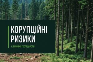 Дослідження НАЗК «Корупційні ризики у лісовому господарстві»-2025