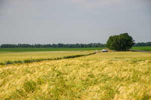 Щодо посилення протипожежного захисту врожаю 2025 року на території Черкаського району