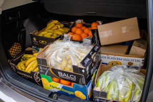 Дитинство має бути щасливим попри все, а кожна дитяча перемога — поміченою, – Валерія Яненко