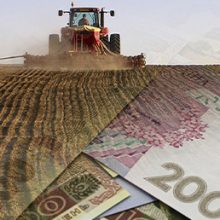 Прийом заявок на отримання фінансової допомоги фермерськими господарствами розпочато