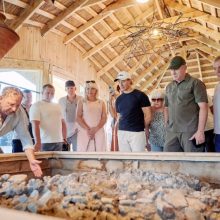 Нова експозиція в заповіднику Трипільської культури