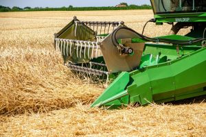 Жнивуємо: на Черкащині стартувала збиральна кампанія