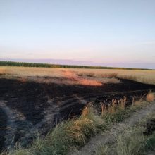 Ігор Табурець про ситуацію в області на ранок 16 липня