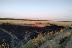 Ігор Табурець про ситуацію в області на ранок 16 липня