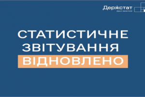 Статистичне звітування відновлено