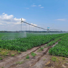 У Черкаському районі проведено День поля