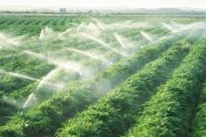 Реформа зрошення: держава передає майно новому відомству