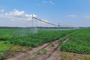 У Черкаському районі проведено День поля