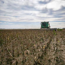 Збиральна кампанія у Черкаському районі