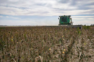 Збиральна кампанія у Черкаському районі
