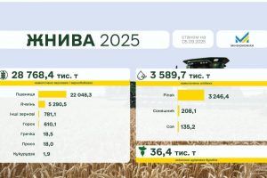 Українські аграрії зібрали майже 28,8 млн тонн зернових культур