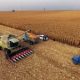 Українські аграрії зібрали майже 30 млн тонн зернових культур