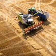 Українські аграрії завершили збір зернових культур