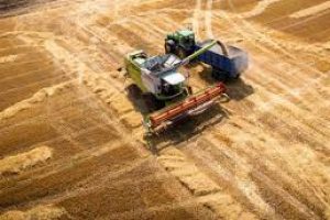 Українські аграрії завершили збір зернових культур