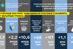 На Черкащині надходження від фізичних осіб зросли майже на чверть