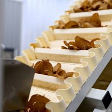 Черкаські ветерани можуть отримати ресурс на власну справу