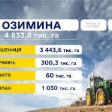Посівна 2025: засіяно майже 5 млн га озимих культур