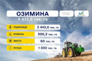 Посівна 2025: засіяно майже 5 млн га озимих культур