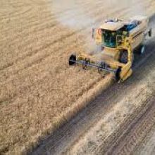 Українські аграрії зібрали понад 31,5 млн тонн зернових і зернобобових