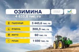 Посівна 2025: засіяно понад 6 млн га озимих культур
