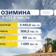 Посівна 2025: засіяно понад 6 млн га озимих культур