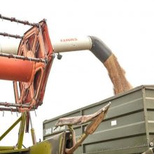 Аграрії Черкащини завершують збір зернових і технічних культур