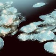 ₴34,6 млрд податків сплатили резиденти Дія.City за 2025 рік