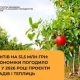 14 грантів на 51,5 млн грн: Мінекономіки погодило перші у 2026 році проєкти для садів і теплиць