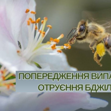 Щодо попередження отруєння бджіл