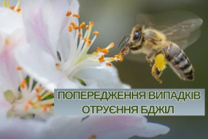 Щодо попередження отруєння бджіл
