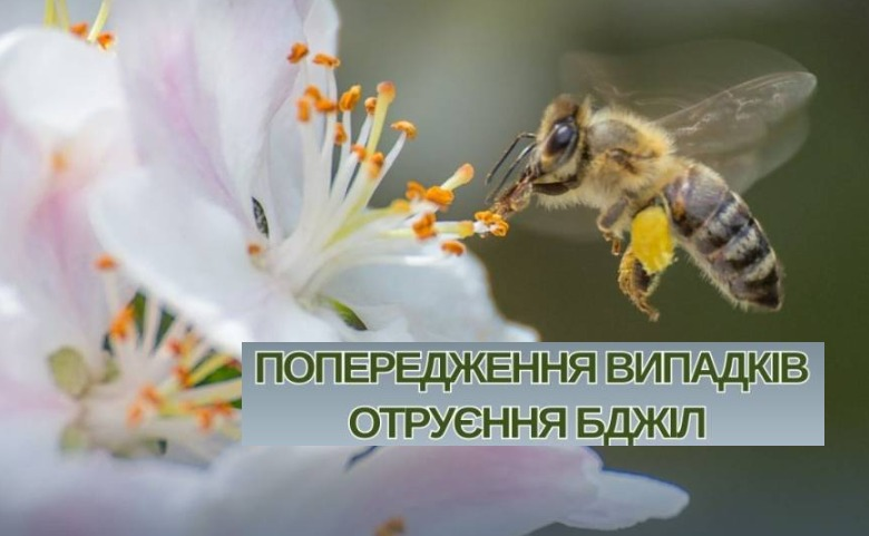 Щодо попередження отруєння бджіл