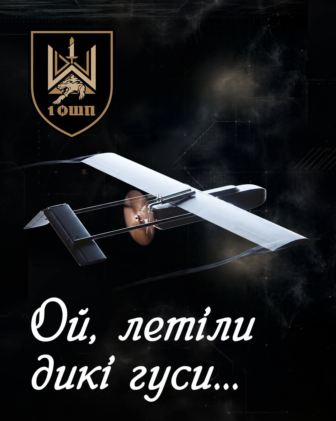 1 ОШП імені Дмитра Коцюбайла