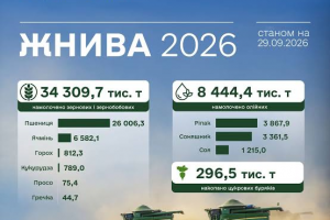 Аграрії намолотили понад 34,3 млн тонн зернових та зернобобових культур